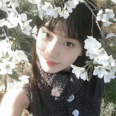 宝瓶奇谋